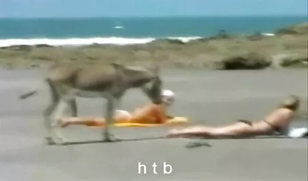 Saçımı onun horoz ovuşturarak, o kadar emmek ve erotik video azeri binmek ha