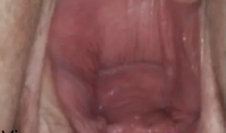 Fan sibel kekilli erotik video köle anal