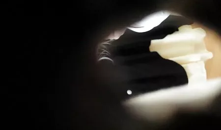 Büyük Alman lezbiyen erotik sevişme popo inanılmaz göt mezarlar ૦ alır