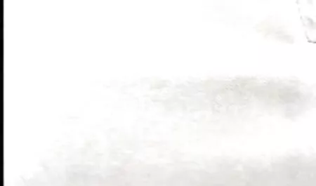Jayden Cole, Dani Daniels, Melissa Jacobs ve Cherie DeVille sex hd erotik
