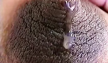 Barın üzerinde erotik film türbanlı kirli sıcak lezbiyen Babes yalamak ve parmak lanet kedi